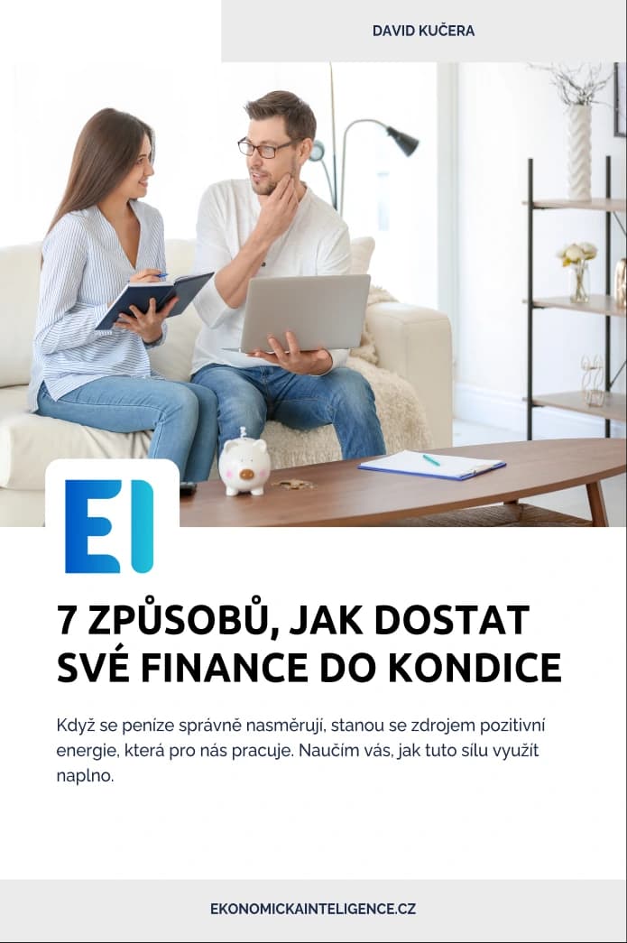 First ebook cover for Ekonomická Inteligence