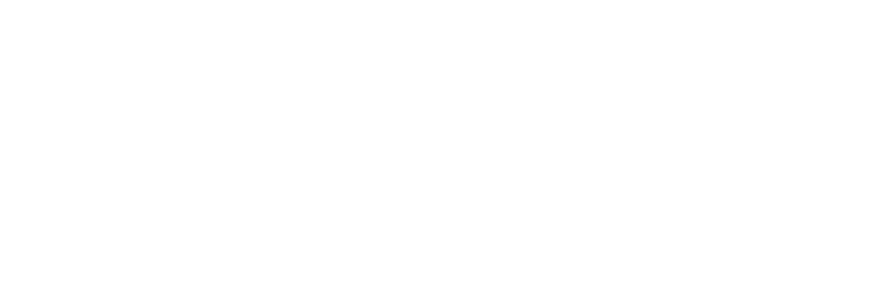 Bílé logo projektu Ekonomická Inteligence bez pozadí